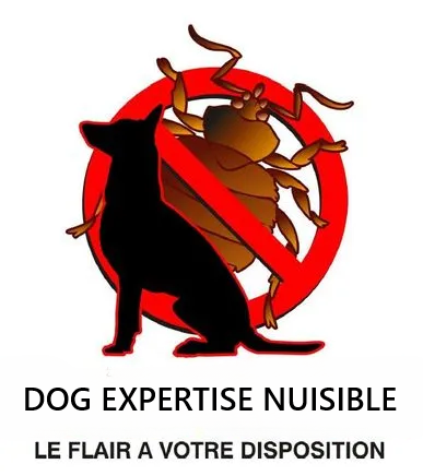 Le flair de nos chiens à votre disposition